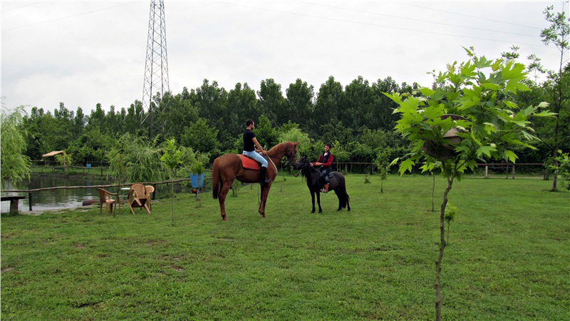 Horse Rider in Sapanca