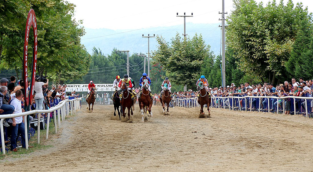 Sayder Uluslararası At Yarışları